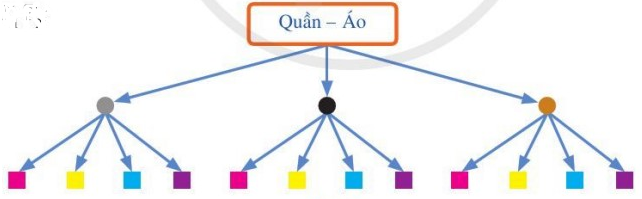 Hình minh họa câu hỏi